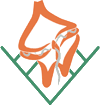 Dinoflaj logo.gif
